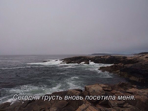 ���� ������