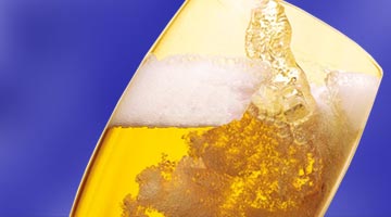 ������ ����