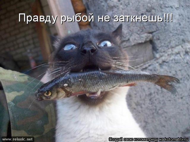 ������� �����