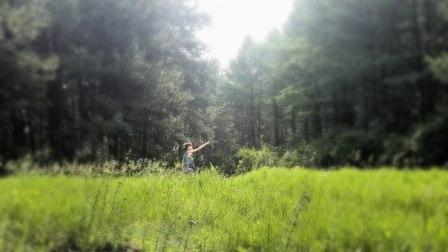 ���� �������