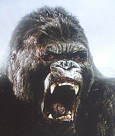 ���� ������