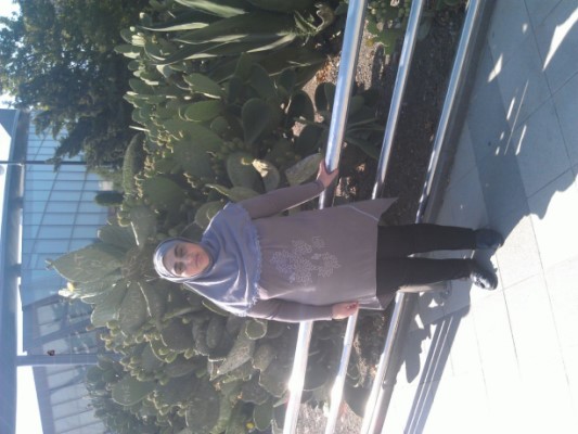 ������ ��������