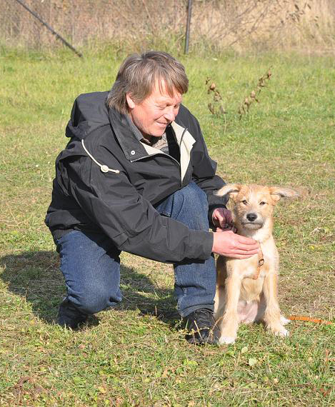 ������� ����������