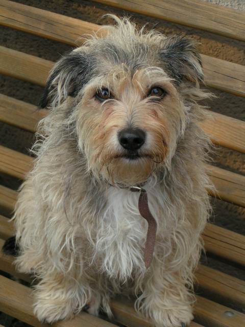 �������� ��������