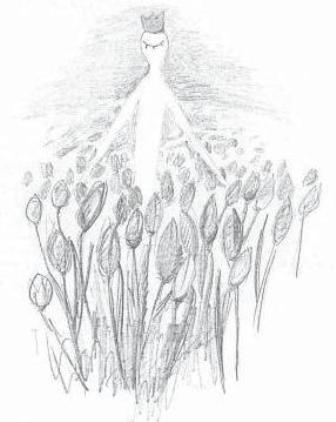 ���� ������