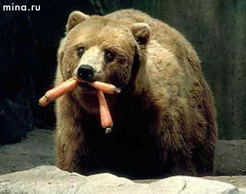 ������� �����