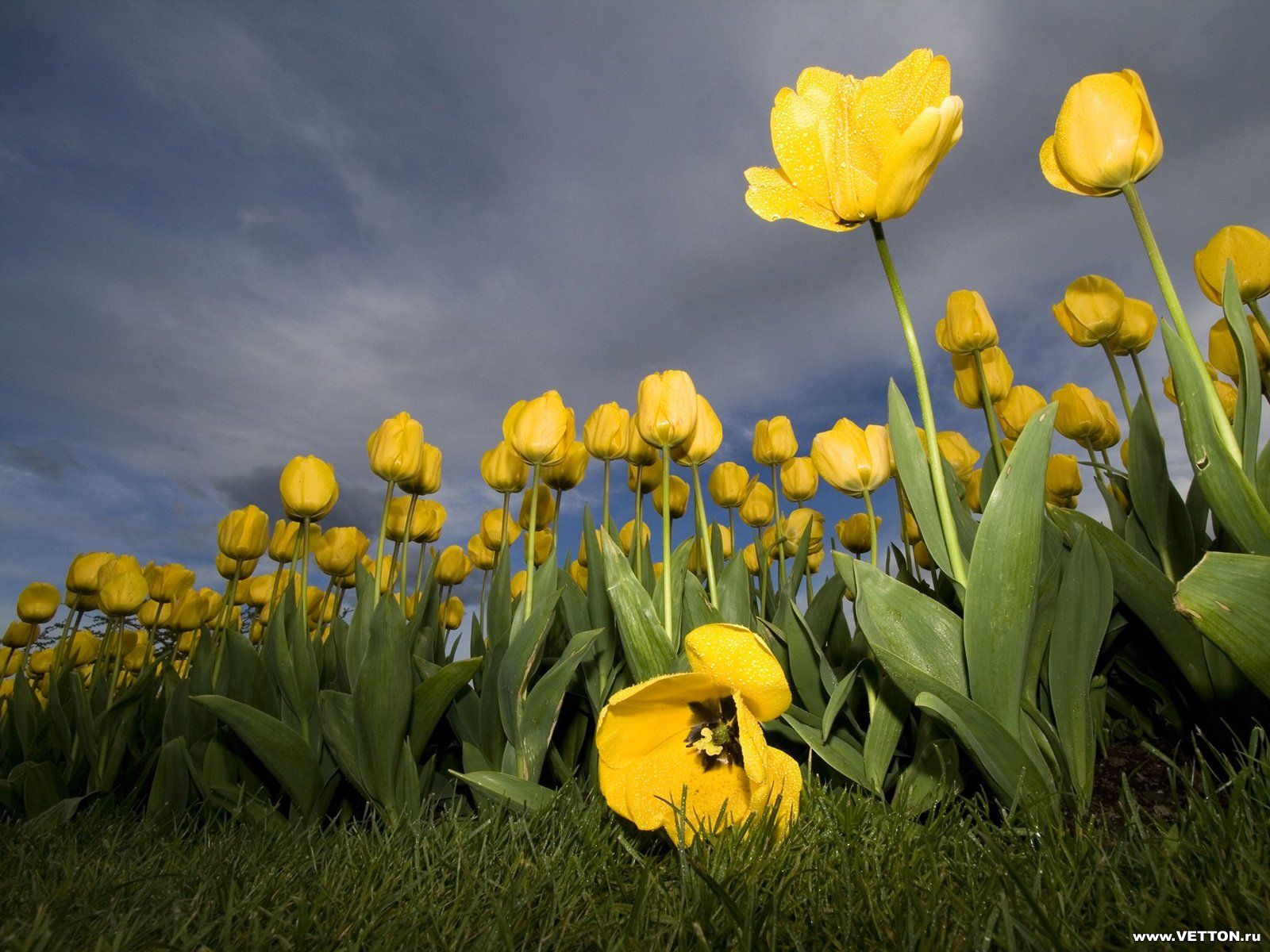 ������� ������ � �����