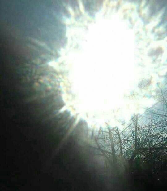 ������ ��������