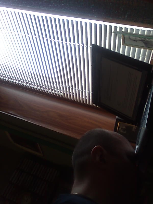 ������ ������