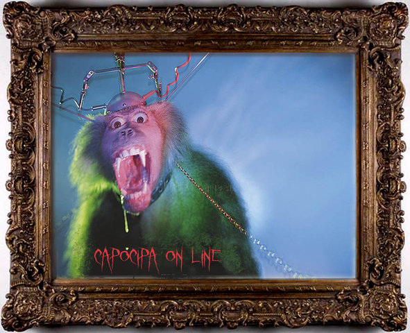 Цапоципа Ангел