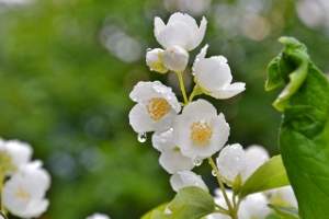 ������������