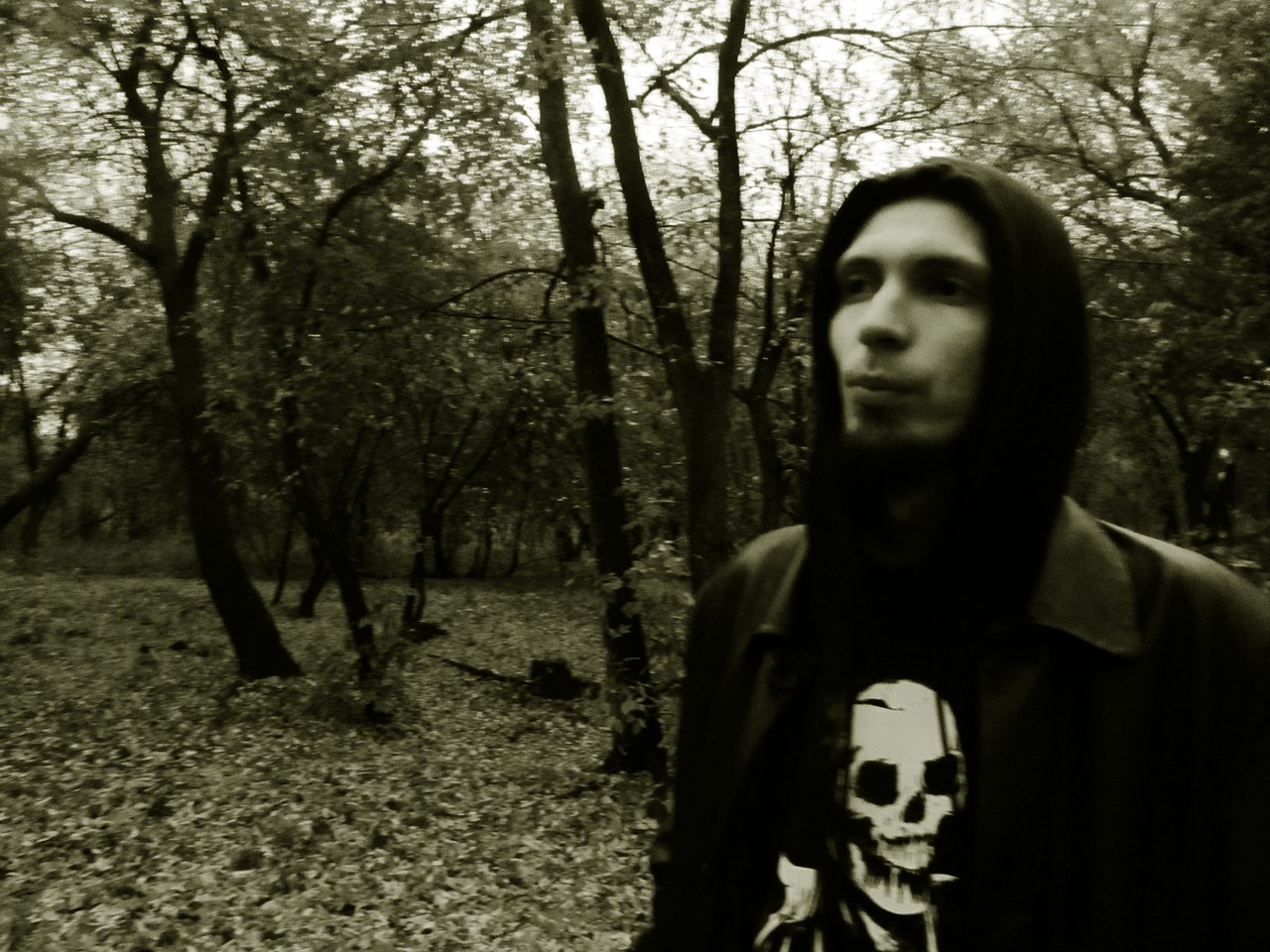 ����� ���������