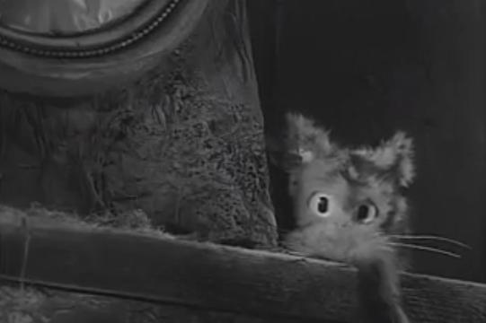 ���� ��������