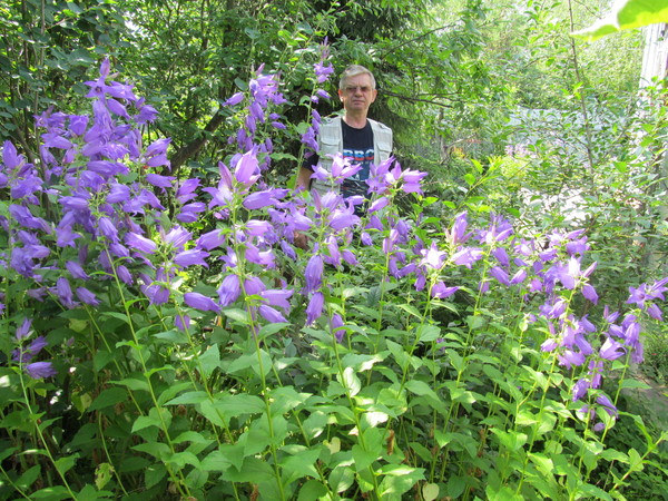 ����� ��������