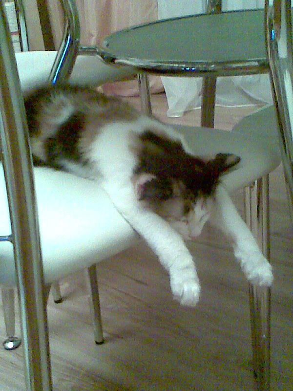 ��������� ������