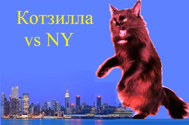 ����-�����-���� ��������