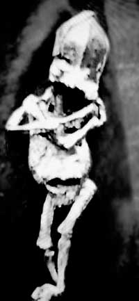 ���������� ����������