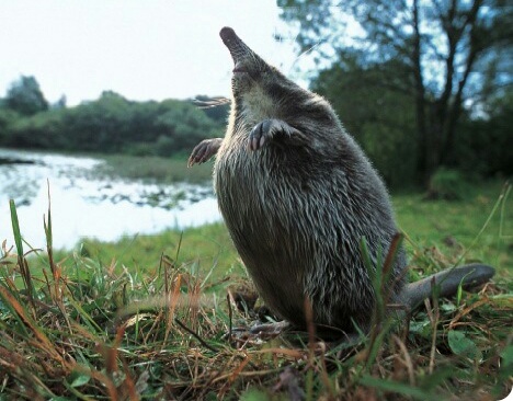 ��������-�����