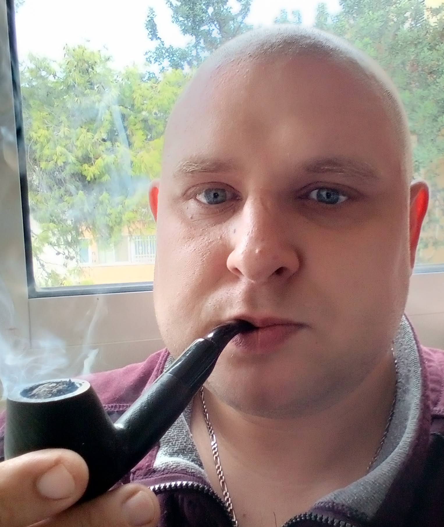 ������ ������