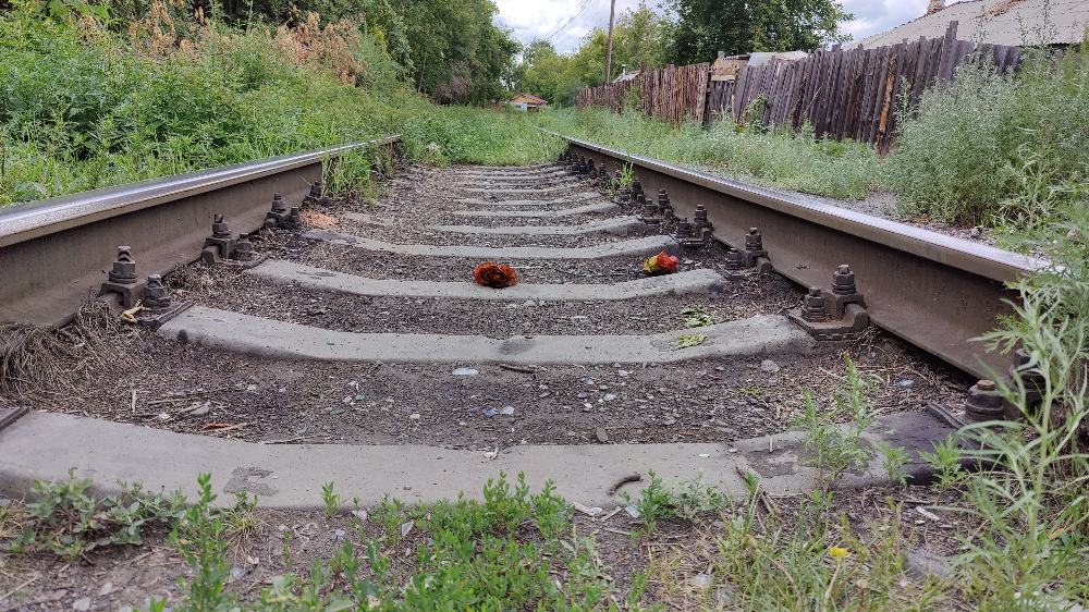 ���� ������