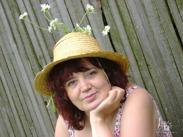 �������� �����������