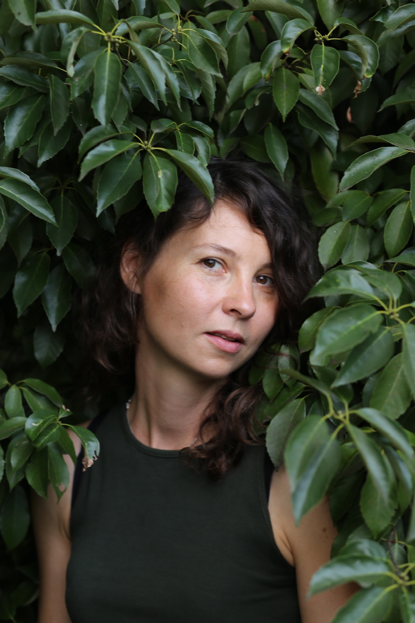 ����� �������