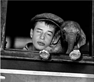 ������ �����