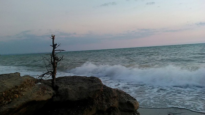 ��� �������