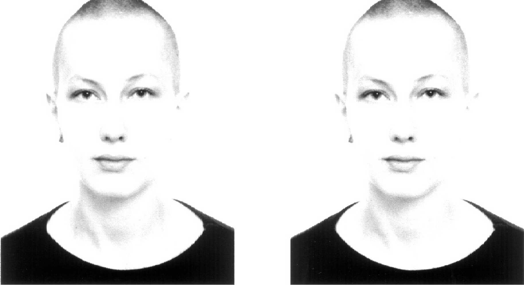 ���� ��������� ����