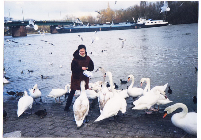 ���� ���������