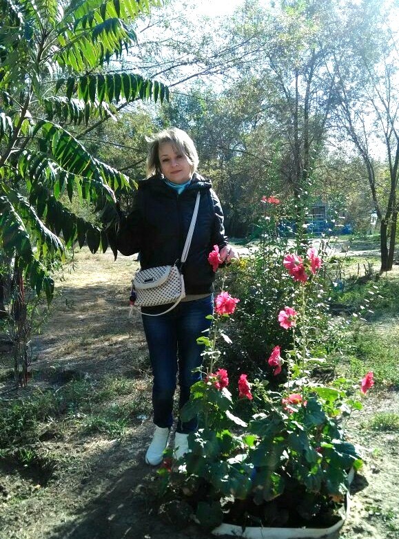 ����� ����������� ���������