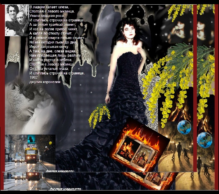 Городская Белка