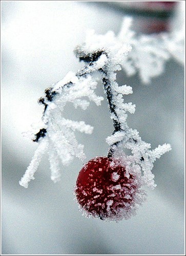 Лёгкий Аромат Вишни
