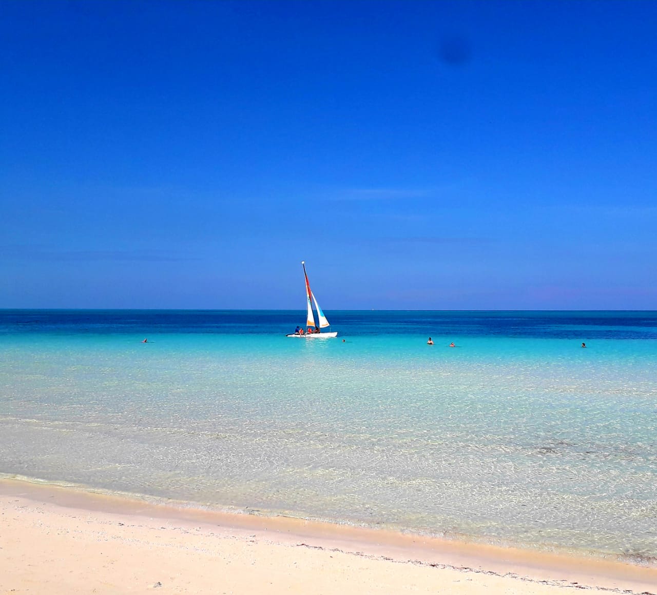 ������ �����