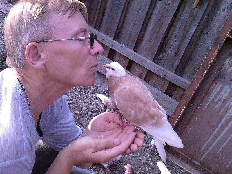 ������ ������