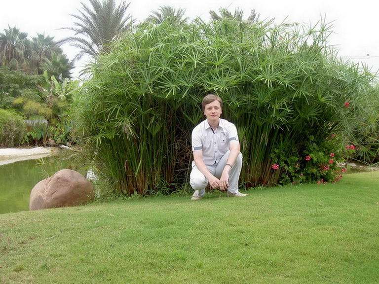 ������� �����