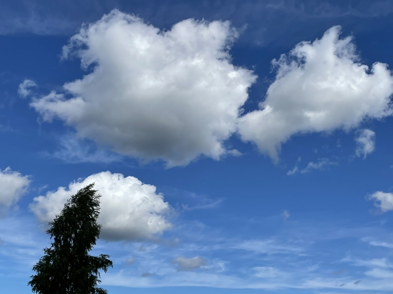 ����� ���������