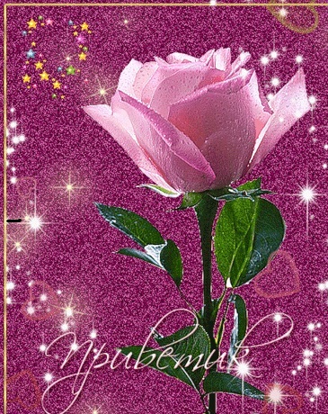 ����� �������