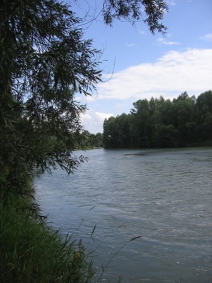 Старая Барда