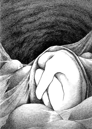 ���� ��������