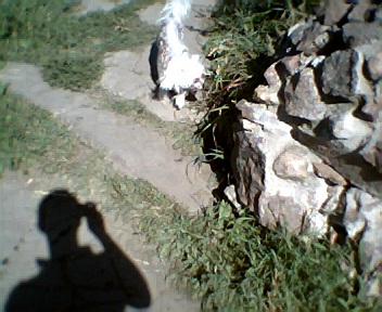 �������