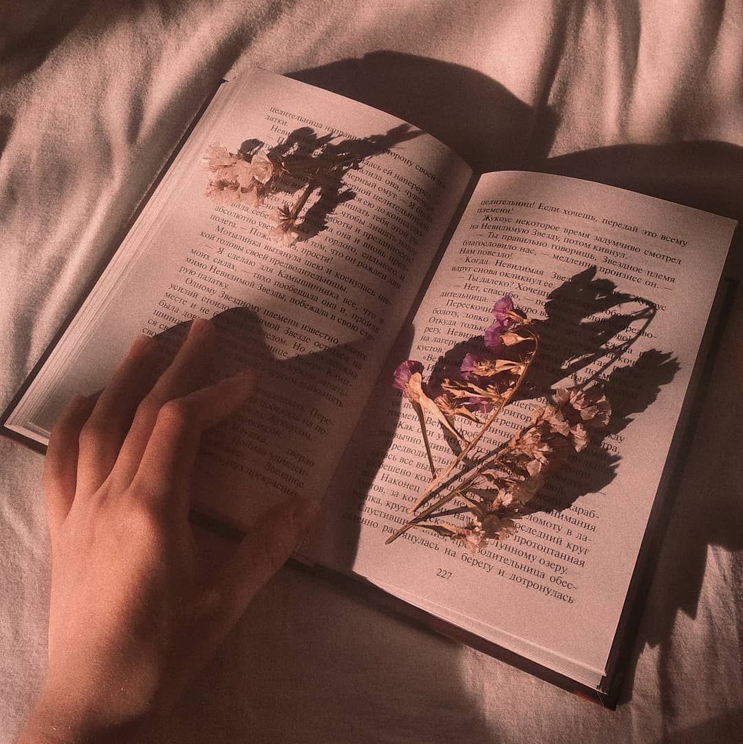 Дарья Созонова