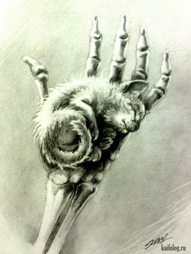 ���������