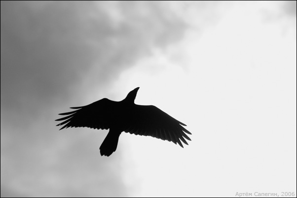 ������� ����