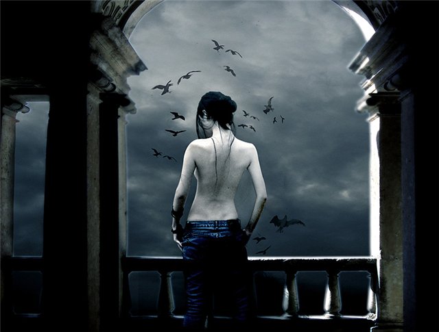 ���� ���������