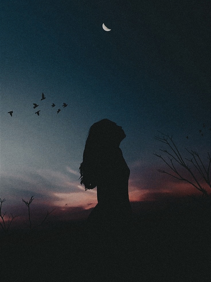 ���� �����