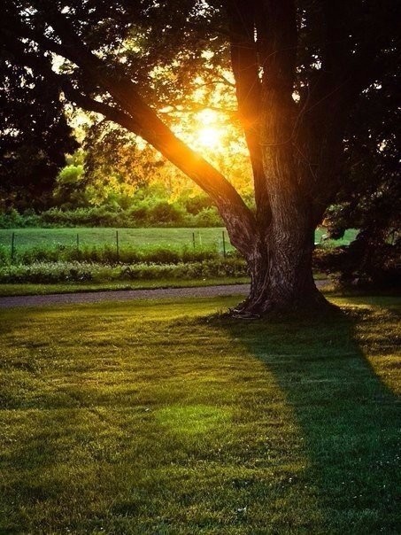 �� �������