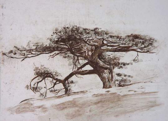 ������� �����