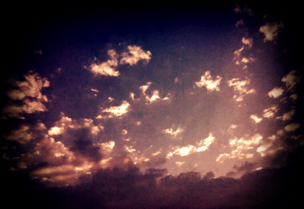 ����� ����