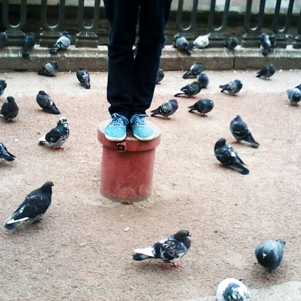 ���� �������